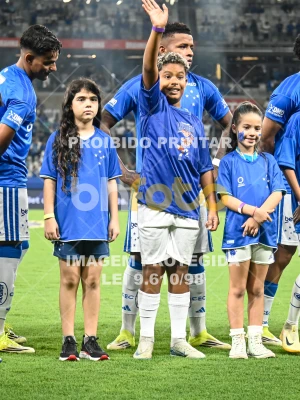 Detalhes da foto #76671