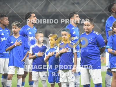 Detalhes da foto #81530