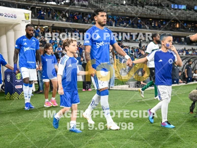 Detalhes da foto #89651