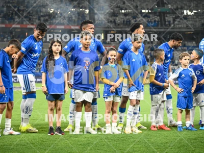 Detalhes da foto #60422