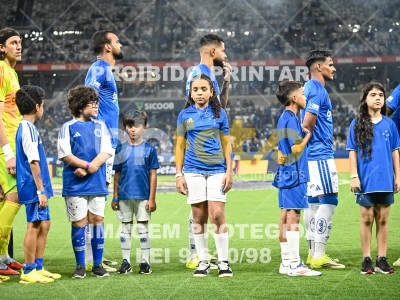 Detalhes da foto #62179