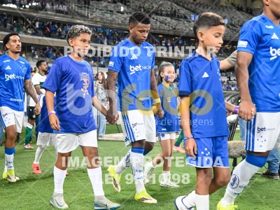 Detalhes da foto #12227