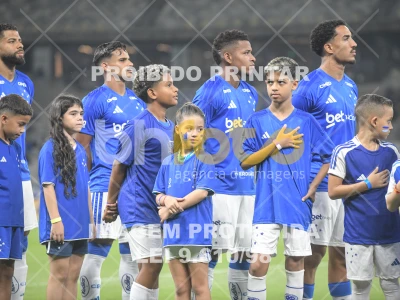 Detalhes da foto #57450