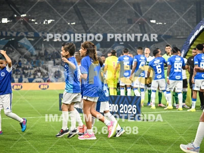 Detalhes da foto #24993