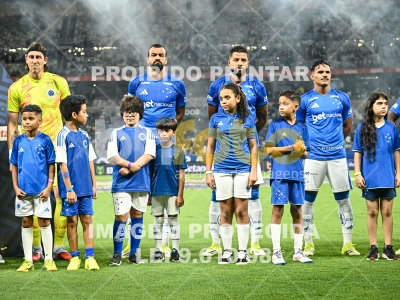 Detalhes da foto #88595