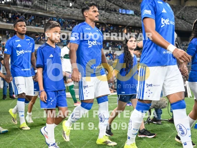 Detalhes da foto #62459