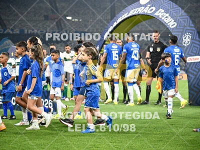 Detalhes da foto #18098