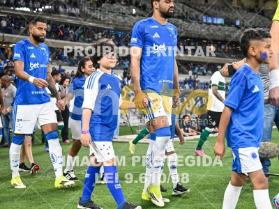 Detalhes da foto #76702