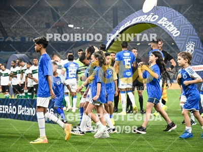 Detalhes da foto #88194