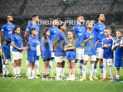 Detalhes da foto #91639