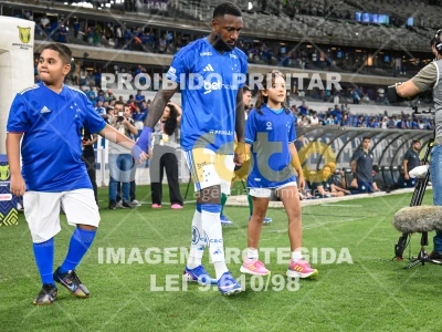 Detalhes da foto #92109