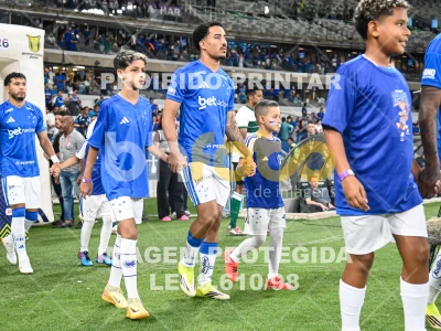 Detalhes da foto #96634