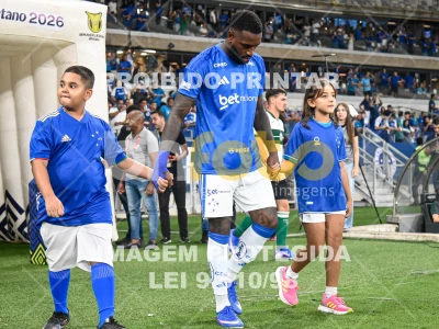 Detalhes da foto #90179