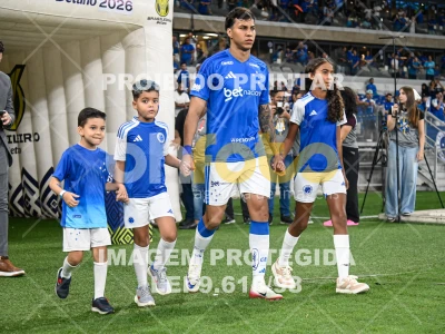 Detalhes da foto #57172