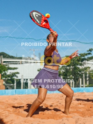 Detalhes da foto #4363634