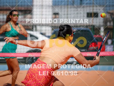 Detalhes da foto #6646657