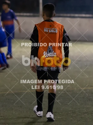 Detalhes da foto #8935783