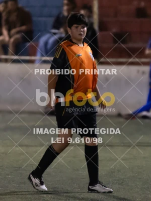 Detalhes da foto #8689838