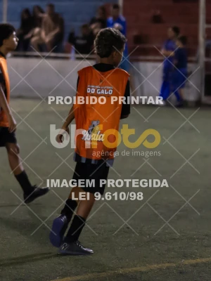 Detalhes da foto #2418827