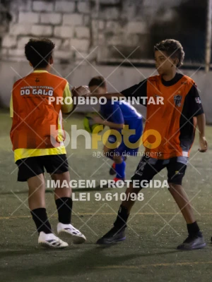 Detalhes da foto #6666691