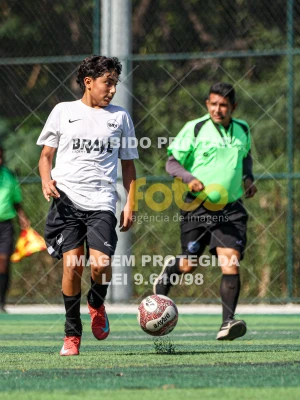 Detalhes da foto #7287107
