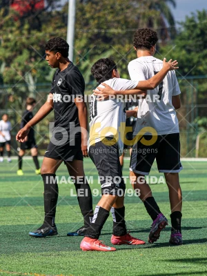 Detalhes da foto #4301042