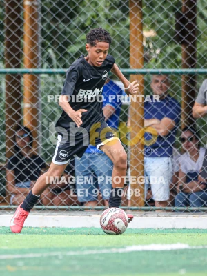 Detalhes da foto #4487148