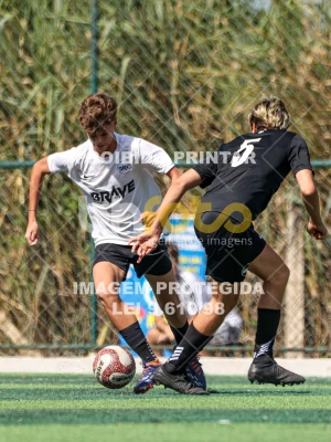 Detalhes da foto #9576466