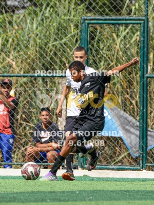 Detalhes da foto #9332137