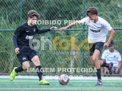 Detalhes da foto #2347495