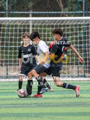 Detalhes da foto #9034692