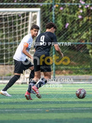 Detalhes da foto #3985722