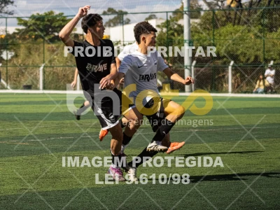 Detalhes da foto #7985511