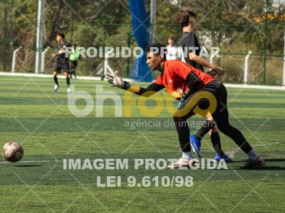 Detalhes da foto #2133488