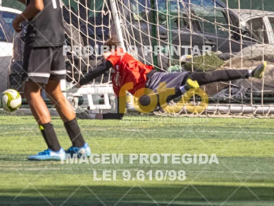 Detalhes da foto #6979782