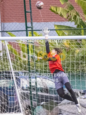 Detalhes da foto #5107753