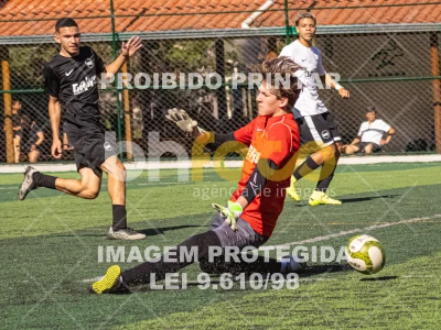 Detalhes da foto #3990227