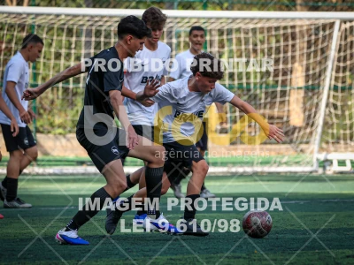 Detalhes da foto #6480317