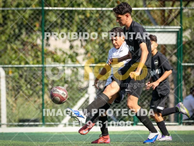 Detalhes da foto #5854892