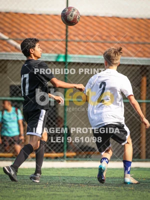 Detalhes da foto #3313896