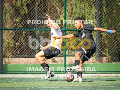 Detalhes da foto #8037374