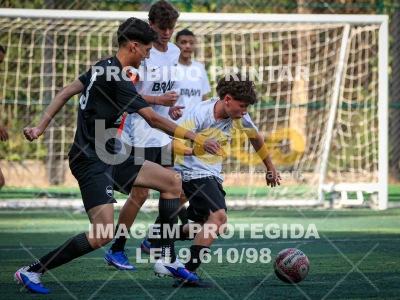 Detalhes da foto #8969401