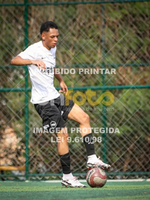 Detalhes da foto #3300144
