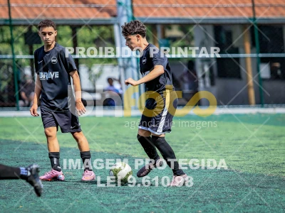 Detalhes da foto #3932587