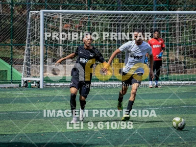 Detalhes da foto #6475206
