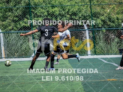 Detalhes da foto #3915858