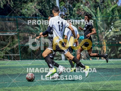 Detalhes da foto #6084341