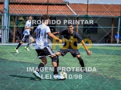 Detalhes da foto #8518586