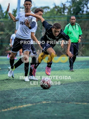 Detalhes da foto #4500615