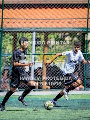 Detalhes da foto #3496335